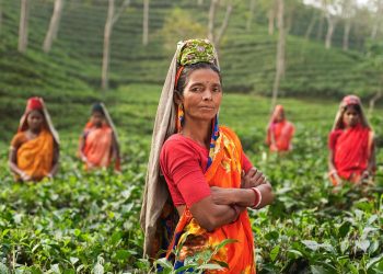 Gender Financing in Just Energy Transitions