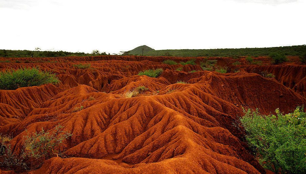 Innovative Soil Restoration - Saving Money, Increasing Yield