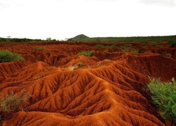 Innovative Soil Restoration - Saving Money, Increasing Yield