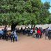 Assisting companies to embrace green and environmental sustainability