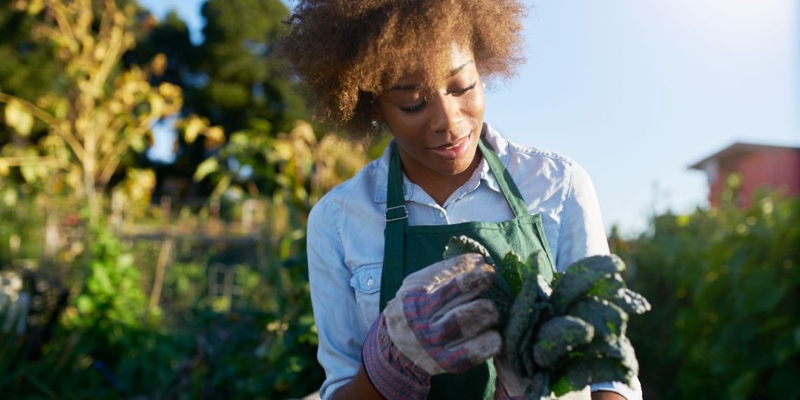 I-GO for ISLANDS: Tailored resource efficiency for SMEs in Small Island Developing States 