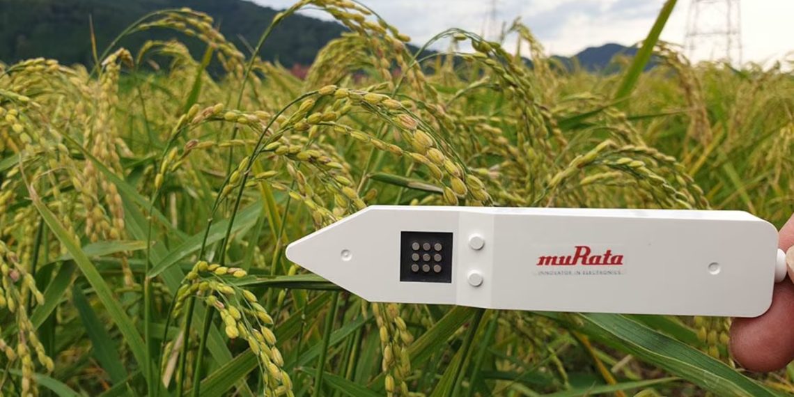 Murata's Soil Sensors: Revolutionizing Agricultural Watering Management