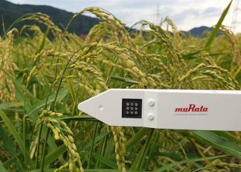 Murata's Soil Sensors: Revolutionizing Agricultural Watering Management