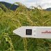 Murata's Soil Sensors: Revolutionizing Agricultural Watering Management