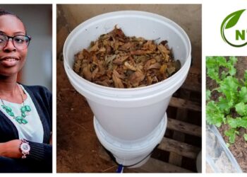 Saving the environment by promoting sustainable cultivation practices