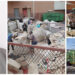Tackling environmental challenges and creating jobs through recycling