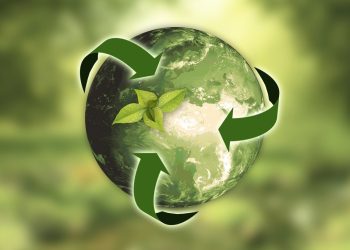 Encouraging companies to embrace green and environmental sustainability