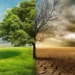 Assisting Municipalities in Implementing Climate Resilient Initiatives