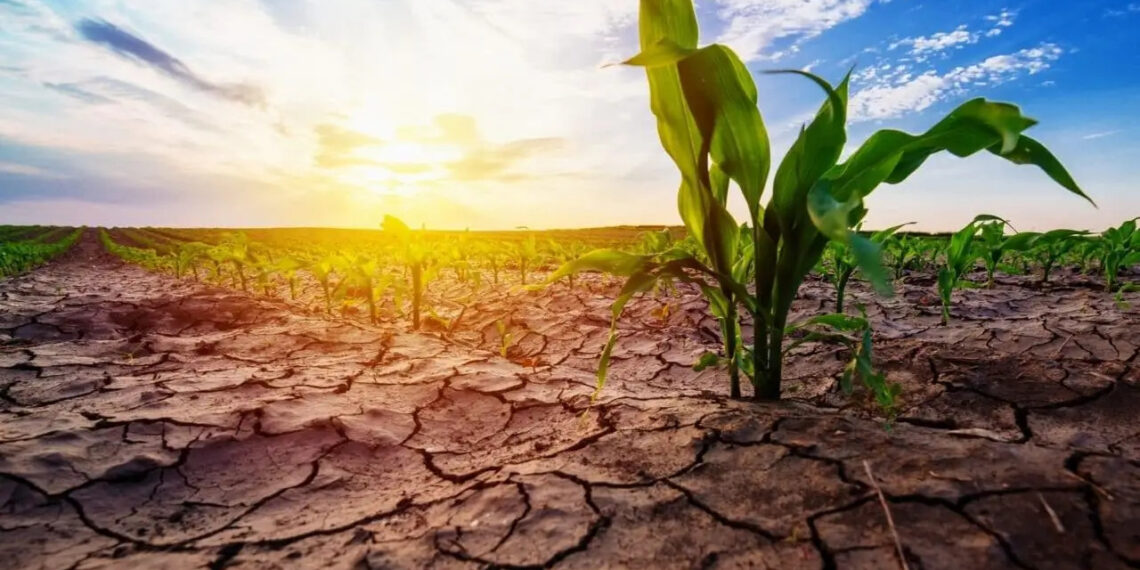 Climate Experts Urge Preparedness for Impending El Niño Event