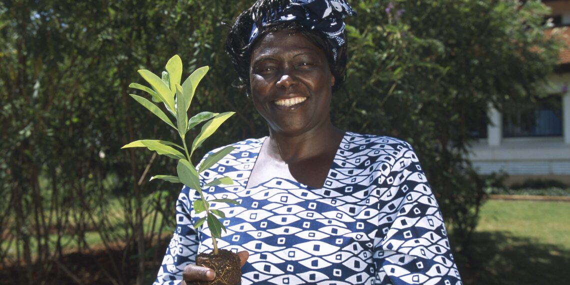 Celebrating African Environmentalists on Women’s Day