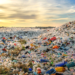 Effect of Plastic Pollution on Foraging Seabirds