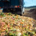 Harnessing biogas from food waste as a source of energy in Ghana