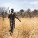 SANParks joins the world in celebrating rangers’ day
