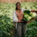 The Important role of Female Farmers in Africa
