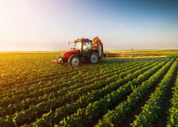 Nano Foundation Unveils Whitepaper on Nanotech's Role in Sustainable Agriculture