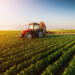 Nano Foundation Unveils Whitepaper on Nanotech's Role in Sustainable Agriculture