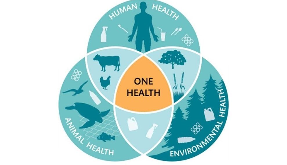 Plastic Pollution diagram showing planet and all life affected