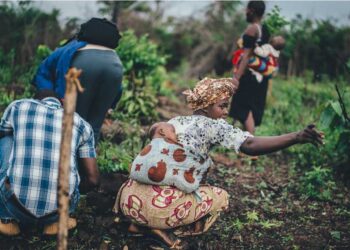farmers hit hard by the impact of load shedding