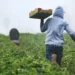 Farmers to Assist meeting Net Zero Goals