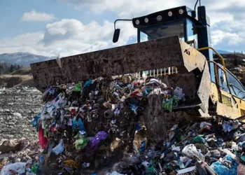 plastic pollution