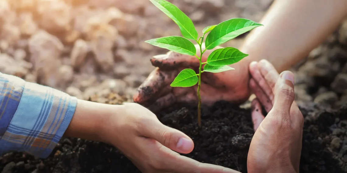 2040 declared a year of conservation that serves all people