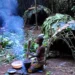 African Forest people