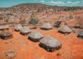 Nipa Huts in Africa