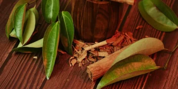 traditional-medicine